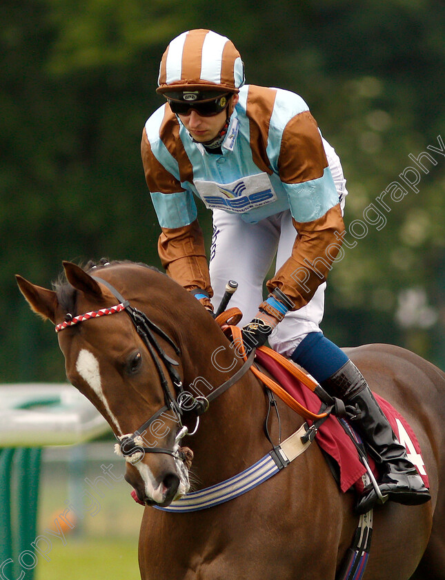 Caspian-Prince-0001 
 CASPIAN PRINCE (Alistair Rawlinson)
Haydock 25 May 2019 - Pic Steven Cargill / Racingfotos.com