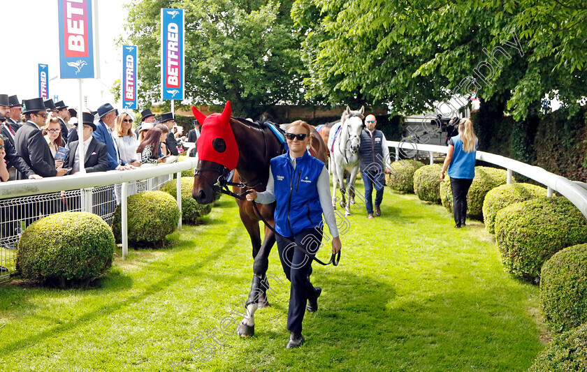 Military-Order-7553 
 MILITARY ORDER
Epsom 3 Jun 2023 - Pic Steven Cargill / Racingfotos.com