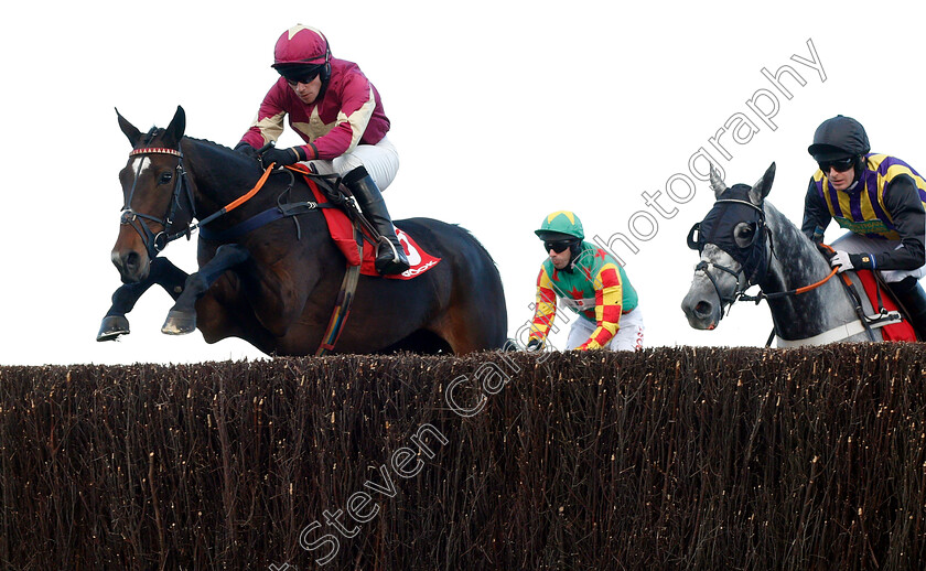 Treackle-Tart-0001 
 TREACKLE TART (Jonathan Burke) 
Cheltenham 26 Oct 2018 - Pic Steven Cargill / Racingfotos.com