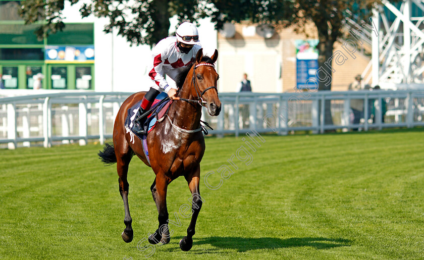 Oh-It s-Saucepot-0001 
 OH IT'S SAUCEPOT (Sebastian Woods)
Yarmouth 15 Sep 2020 - Pic Steven Cargill / Racingfotos.com