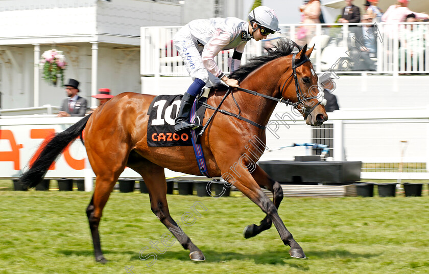 Box-To-Box 
 BOX TO BOX (Harry Davies)
Epsom 4 Jun 2022 - Pic Steven Cargill / Racingfotos.com