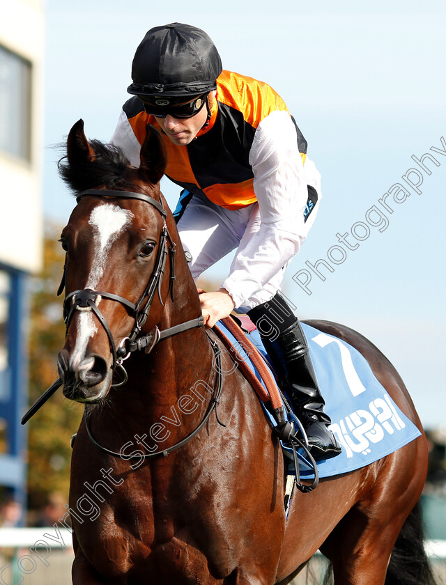 Omnivega-0003 
 OMNIVEGA (Stevie Donohoe)
Newmarket 13 Oct 2018 - Pic Steven Cargill / Racingfotos.com