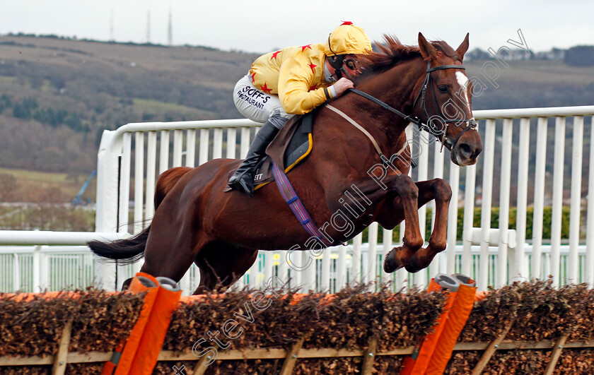 Count-Meribel-0001 
 COUNT MERIBEL (Mark Grant) Cheltenham 16 Dec 2017 - Pic Steven Cargill / Racingfotos.com