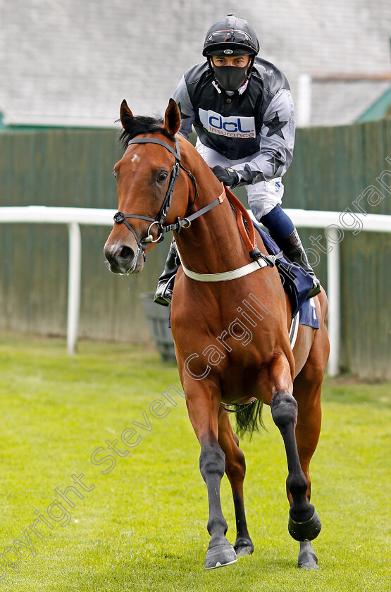 Harold-Shand-0001 
 HAROLD STRAND (Silvestre De Sousa) before winning The British Stallion Studs EBF Novice Stakes
Yarmouth 15 Jul 2020 - Pic Steven Cargill / Racingfotos.com