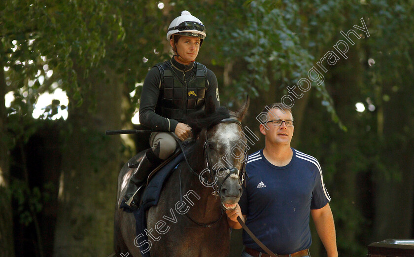 Roaring-Lion-0002 
 ROARING LION (Kieran O'Neill) before working on the racecourse
Newmarket 30 Jun 2018 - Pic Steven Cargill / Racingfotos.com