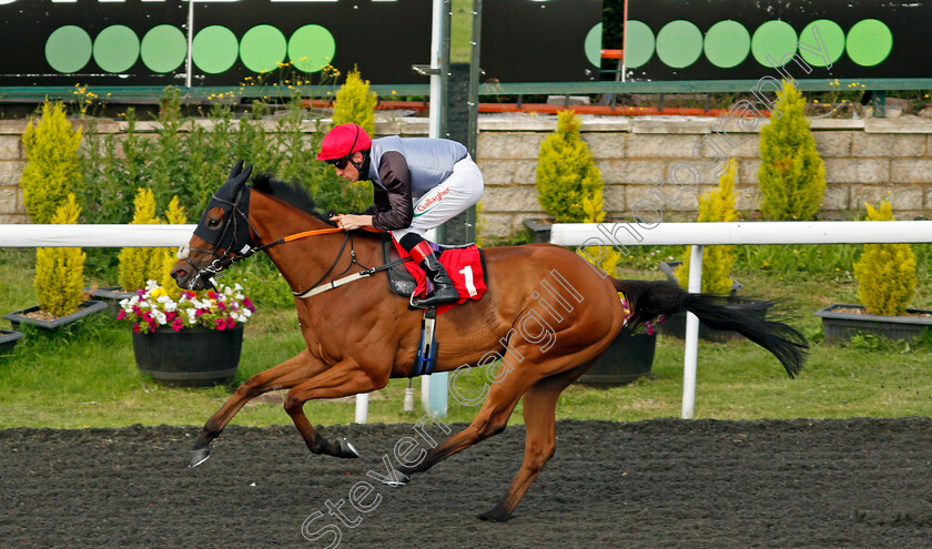 Lockdown-0006 
 LOCKDOWN (Shane Kelly) wins The Unibet New Instant Roulette Handicap
Kempton 30 Jun 2021 - Pic Steven Cargill / Racingfotos.com