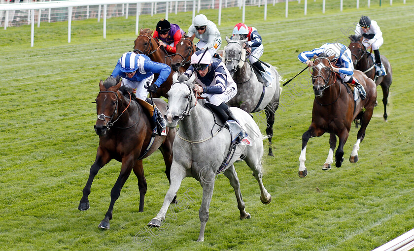 Lord-Glitters-0003 
 LORD GLITTERS (right, Daniel Tudhope) beats MUSTASHRY (left) in The Sky Bet & Symphony Group Strensall Stakes
York 25 Aug 2018 - Pic Steven Cargill / Racingfotos.com