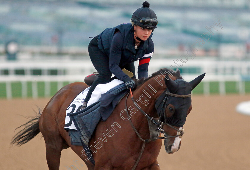 Silent-Film-0002 
 SILENT FILM training at the Dubai Racing Carnival 
Meydan 4 Jan 2024 - Pic Steven Cargill / Racingfotos.com