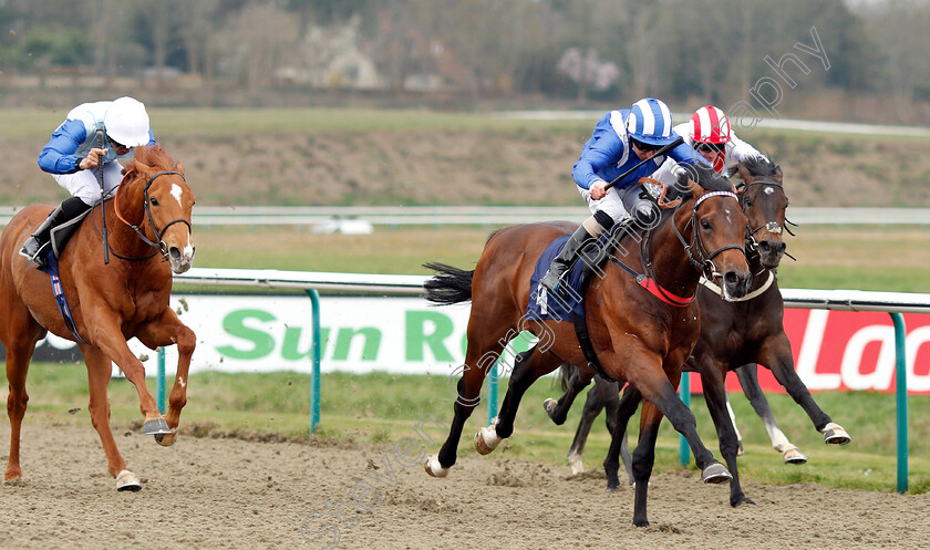 Mohtarrif-0005 
 MOHTARRIF (Martin Dwyer) wins The Ladbrokes Home Of The Odds Boost Novice Stakes
Lingfield 23 Mar 2019 - Pic Steven Cargill / Racingfotos.com