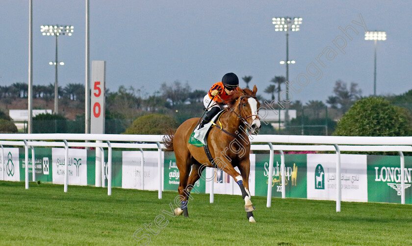 Starcat-0004 
 STARCAT (Yuga Kawada) wins The International Jockeys Challenge R4 
King Abdulaziz Racecourse, Kingdom of Saudi Arabia, 24 Feb 2023 - Pic Steven Cargill / Racingfotos.com