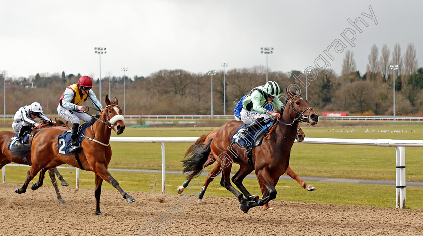 Fiordland-0002 
 FIORDLAND (Ryan Moore) beats ELAKAZAAM (left) in The Bombardier March To Your Own Drum Novice Stakes
Wolverhampton 13 Mar 2021 - Pic Steven Cargill / Racingfotos.com