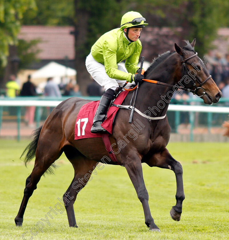 Munhamek-0001 
 MUNHAMEK (Duran Fentiman)
Haydock 25 May 2019 - Pic Steven Cargill / Racingfotos.com