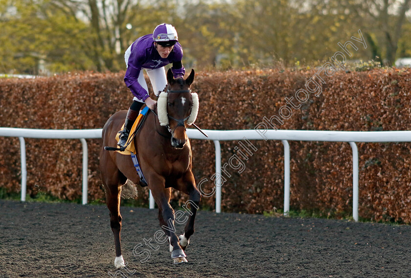 Mashadi-0001 
 MASHADI (David Egan)
Kempton 3 Apr 2024 - Pic Steven Cargill / Racingfotos.com