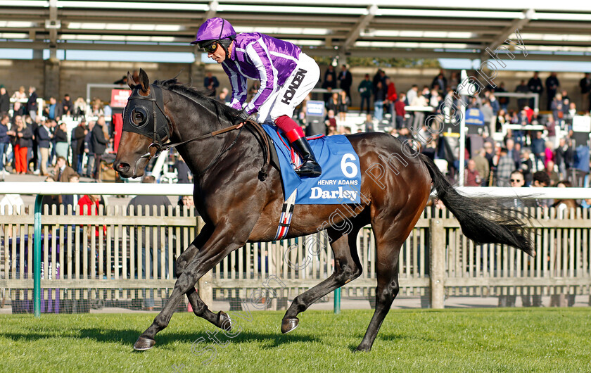 Henry-Adams-0001 
 HENRY ADAMS (Frankie Dettori)
Newmarket 14 Oct 2023 - Pic Steven Cargill / Racingfotos.com