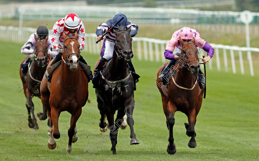 Thechildren strust-0005 
 THECHILDREN'STRUST (centre, Rhys Clutterbuck) beats ROCK ICON (right) and SPANISH STAR (left) in The Betway Handicap
Lingfield 14 Aug 2020 - Pic Steven Cargill / Racingfotos.com