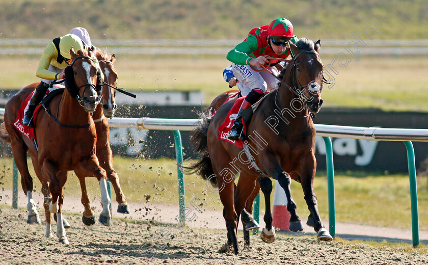 Diligent-Harry-0007 
 DILIGENT HARRY (Adam Kirby) wins The Ladbrokes 3 Year Old All-Weather Championships Conditions Stakes
Lingfield 2 Apr 2021 - Pic Steven Cargill / Racingfotos.com