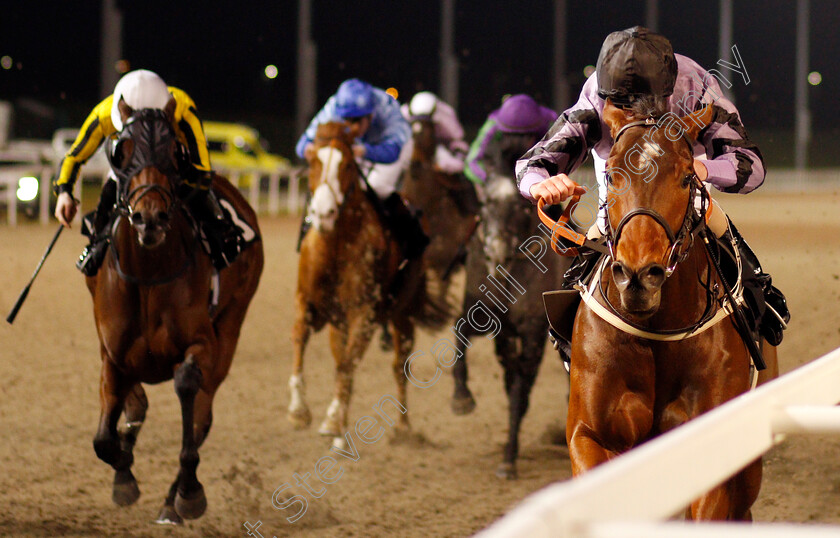 Asdaa-0007 
 ASDAA (Joe Fanning) wins The Bet toteexacta At totesport.com Handicap
Chelmsford 11 Jan 2020 - Pic Steven Cargill / Racingfotos.com