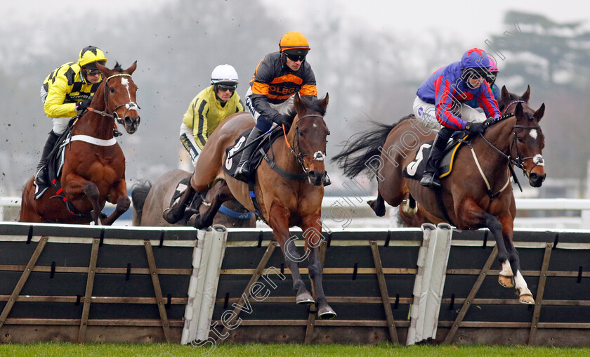 Viyanni-and-Ocean-Conquest-0002 
 VIYANNI (centre, Jonathan Burke) and OCEAN CONQUEST (right)
Ascot 18 Jan 2025 - Pic Steven Cargill / Racingfotos.com