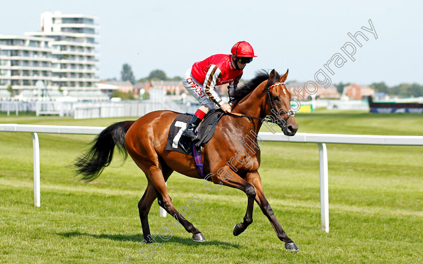 Saligo-Bay-0001 
 SALIGO BAY (Franny Norton) winner of The bet365 Handicap
Newbury 16 Jul 2021 - Pic Steven Cargill / Racingfotos.com