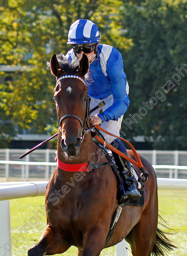 Raatea-0001 
 RAATEA (Jim Crowley)
Newbury 20 Sep 2019 - Pic Steven Cargill / Racingfotos.com