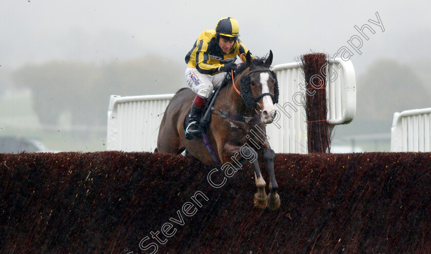 Three-Faces-West-0002 
 THREE FACES WEST (Richard Johnson) Cheltenham 18 Nov 2017 - Pic Steven Cargill / Racingfotos.com