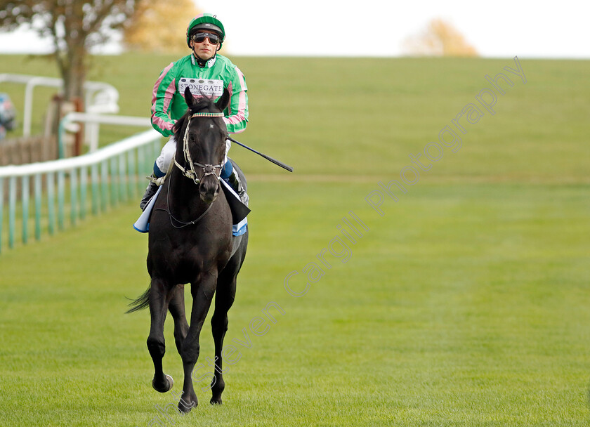 Pogo-0011 
 POGO (William Buick) winner of The Thoroughbred Industry Employee Awards Challenge Stakes
Newmarket 7 Oct 2022 - Pic Steven Cargill / Racingfotos.com