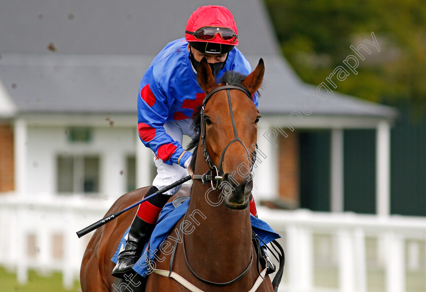 Langafel-0001 
 LANGAFEL (Shane Kelly)
Salisbury 1 Oct 2020 - Pic Steven Cargill / Racingfotos.com