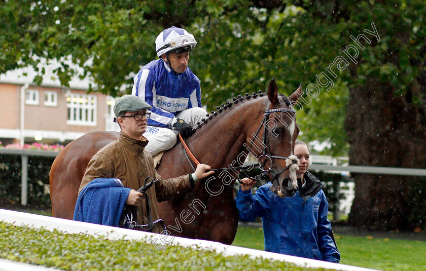 Alounak 
 ALOUNAK (Silvestre De Sousa)
Ascot 2 Oct 2021 - Pic Steven Cargill / Racingfotos.com