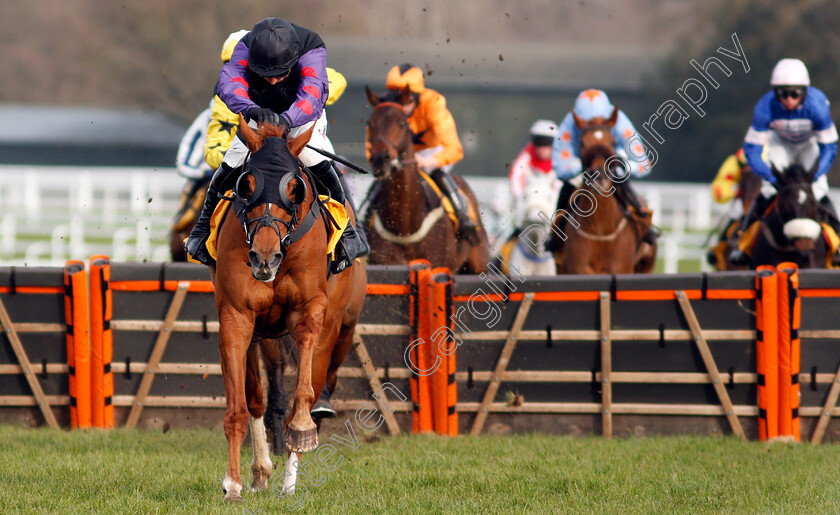 Shannon-Bridge-0004 
 SHANNON BRIDGE (Harry Skelton) wins The Betfair Cheltenham Free Bet Pot Builder Handicap Hurdle
Ascot 20 Feb 2021 - Pic Steven Cargill / Racingfotos.com