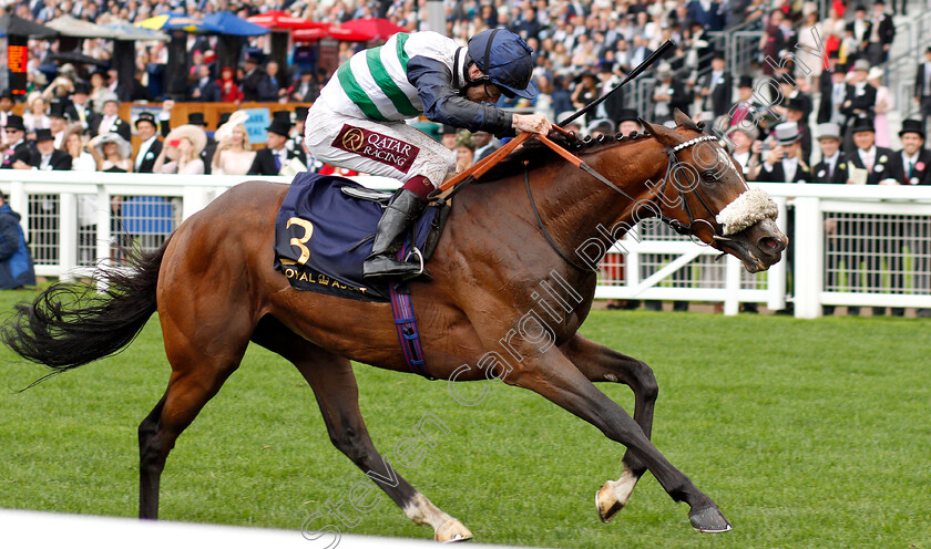 Dashing-Willoughby-0003 
 DASHING WILLOUGHBY (Oisin Murphy) wins The Queen's Vase
Royal Ascot 19 Jun 2019 - Pic Steven Cargill / Racingfotos.com