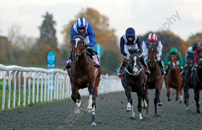 Mukaafah-0003 
 MUKAAFAH (Jim Crowley) wins The Unibet More Extra Places Races Novice Stakes
Kempton 15 Nov 2023 - Pic Steven Cargill / Racingfotos.com