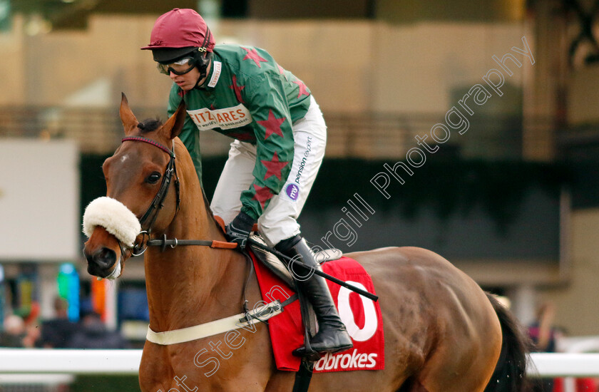 Fiercely-Proud-0007 
 FIERCELY PROUD (Kielan Woods) winner of The Ladbrokes Handicap Hurdle
Ascot 21 Dec 2024 - Pic Steven Cargill / Racingfotos.com