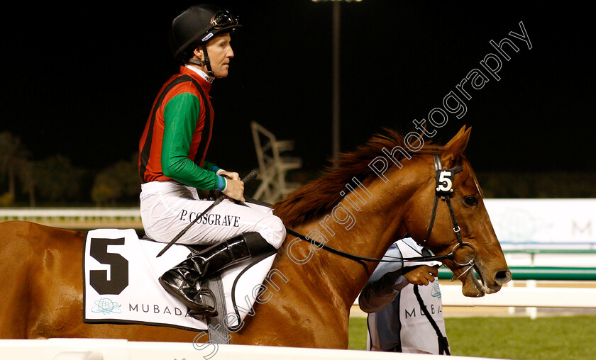 Dolkong-0001 
 DOLKONG (Pat Cosgrave)
Meydan 10 Jan 2019 - Pic Steven Cargill / Racingfotos.com