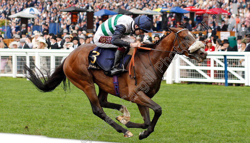 Dashing-Willoughby-0002 
 DASHING WILLOUGHBY (Oisin Murphy) wins The Queen's Vase
Royal Ascot 19 Jun 2019 - Pic Steven Cargill / Racingfotos.com