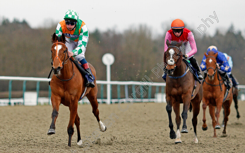 Classy-Dame-0003 
 CLASSY DAME (Adam Kirby) wins The Get Your Ladbrokes Daily Odds Boost Handicap
Lingfield 19 Feb 2021 - Pic Steven Cargill / Racingfotos.com