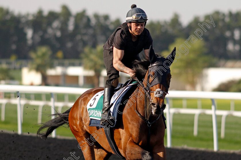 Emily-Upjohn-0004 
 EMILY UPJOHN training for The Sheema Classic
Meydan Dubai 27 Mar 2024 - Pic Steven Cargill / Racingfotos.com