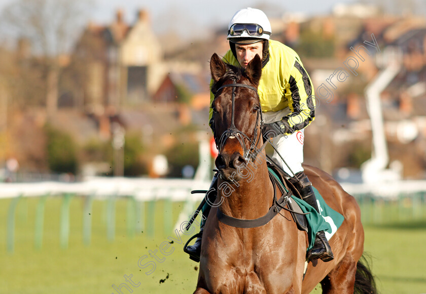 Saveasea 
 SAVEASEA (Harry Skelton)
Warwick 9 Dec 2021 - Pic Steven Cargill / Racingfotos.com