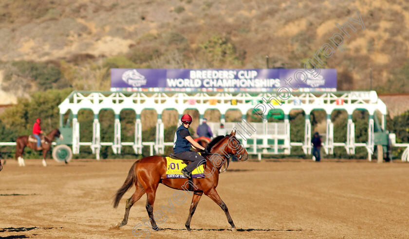 City-Of-Troy-0002 
 CITY OF TROY (Rachel Richardson) training for the Breeders' Cup Classic
Del Mar USA 31 Oct 2024 - Pic Steven Cargill / Racingfotos.com