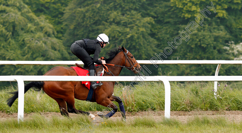 Battaash-0006 
 BATTAASH (Michael Murphy) exercising on the gallops of Charlie Hills, Lambourn 23 May 2018 - Pic Steven Cargill / Racingfotos.com