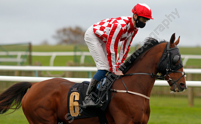 Ballard-Down-0001 
 BALLARD DOWN (Daniel Muscutt)
Newmarket 30 Oct 2020 - Pic Steven Cargill / Racingfotos.com