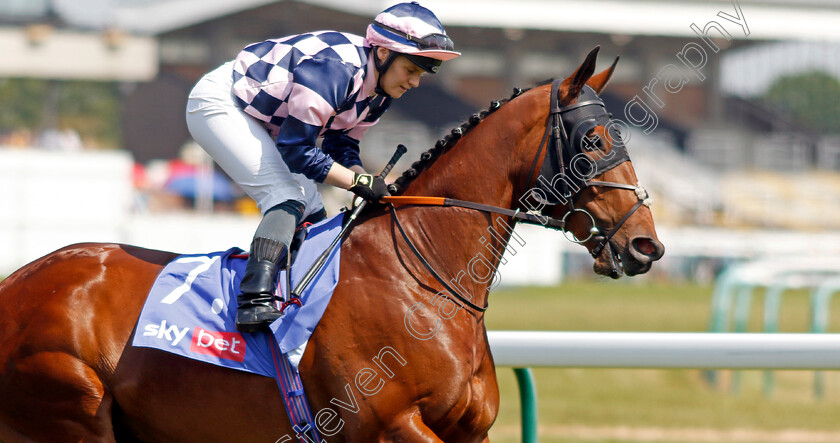 Dark-Pine-0002 
 DARK PINE (Laura Pearson)
Haydock 10 Jun 2023 - Pic Steven Cargill / Racingfotos.com