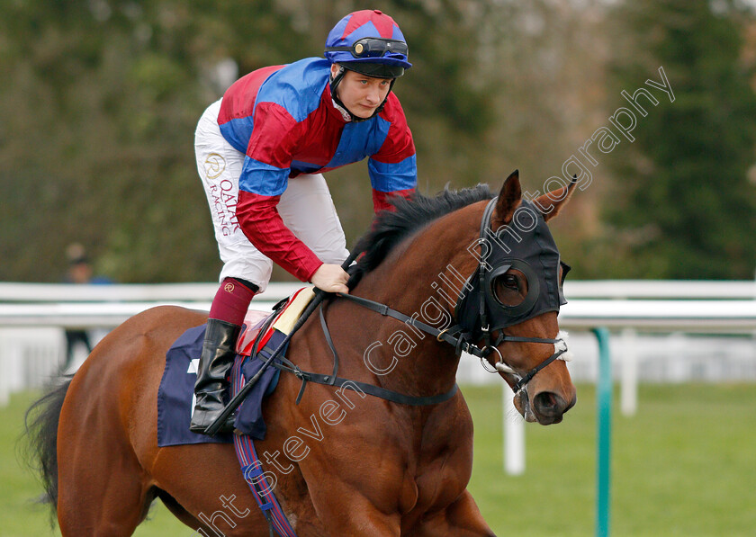 Lovely-Breeze-0002 
 LOVELY BREEZE (Cieren Fallon)
Lingfield 1 Dec 2021 - Pic Steven Cargill / Racingfotos.com