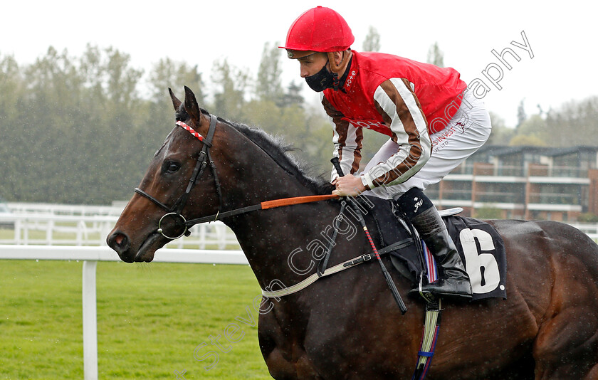 Honky-Tonk-Man-0002 
 HONKY TONK MAN (Jason Watson)
Newbury 15 May 2021 - Pic Steven Cargill / Racingfotos.com