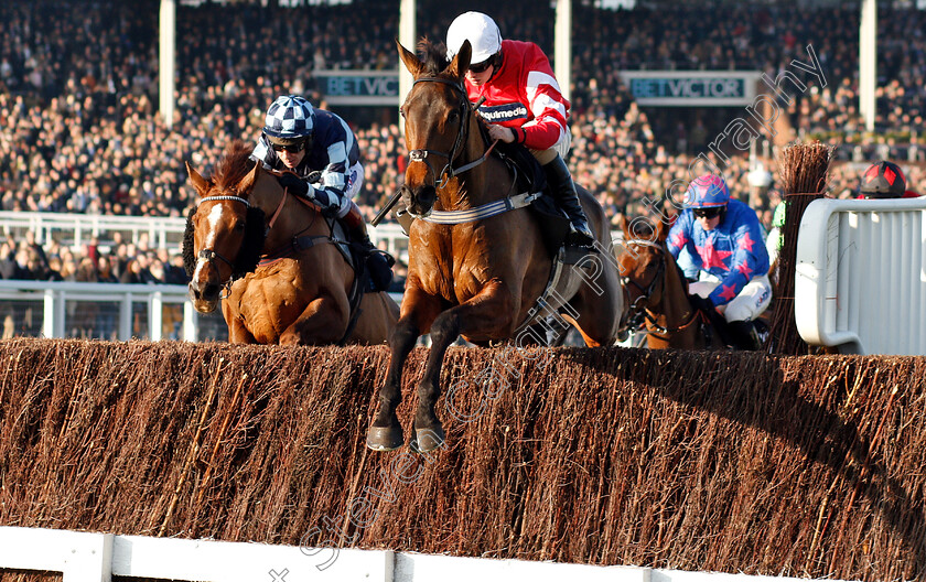 Coneygree-0001 
 CONEYGREE (Sean Bowen)
Cheltenham 17 Nov 2018 - Pic Steven Cargill / Racingfotos.com