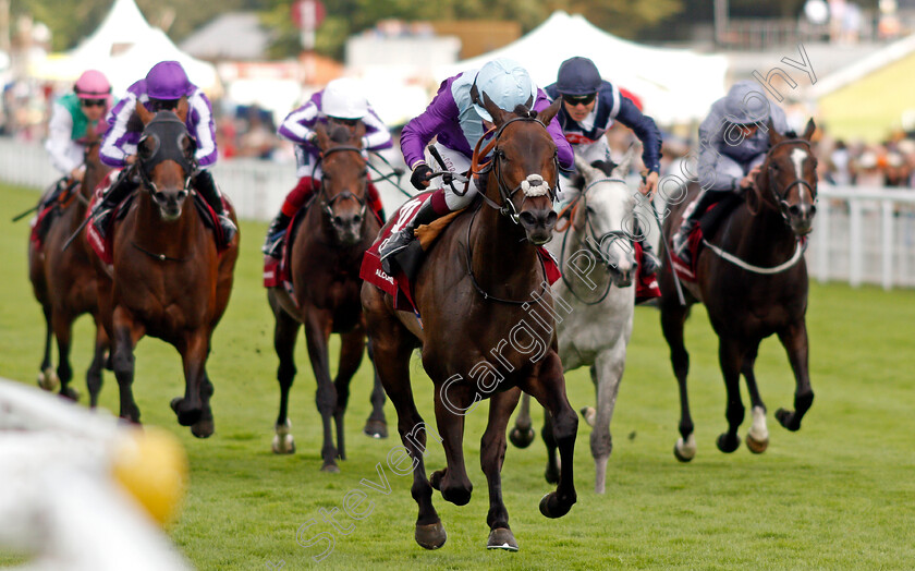 Alcohol-Free-0003 
 ALCOHOL FREE (Oisin Murphy) wins The Qatar Sussex Stakes
Goodwood 28 Jul 2021 - Pic Steven Cargill / Racingfotos.com