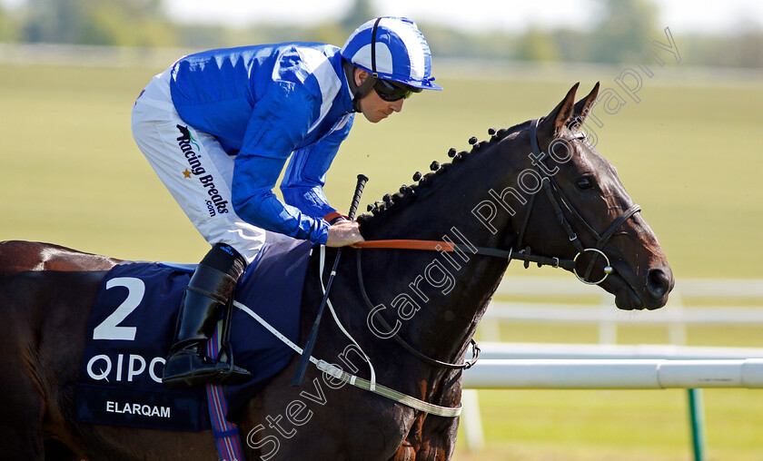 Elarqam-0004 
 ELARQAM (Jim Crowley) Newmarket 5 May 2018 - Pic Steven Cargill / Racingfotos.com