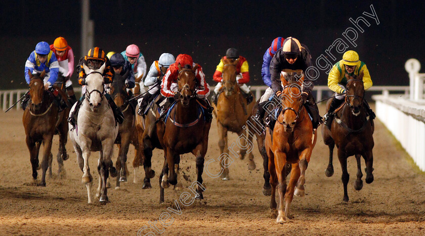 Lucky-Turn-0001 
 LUCKY TURN (Hayley Turner) wins The Fluid Business Coaching Handicap
Chelmsford 28 Nov 2019 - Pic Steven Cargill / Racingfotos.com