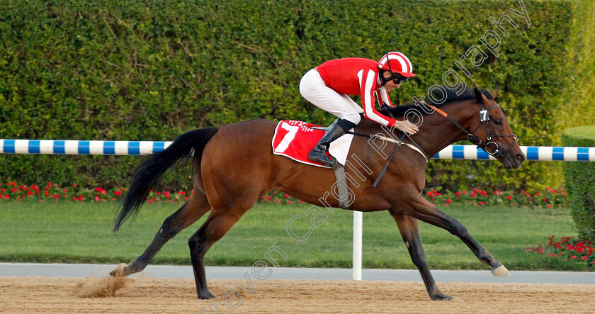 Salute-The-Soldier-0004 
 SALUTE THE SOLDIER (Adrie De Vries) wins The Burj Nahaar
Meydan 7 Mar 2020 - Pic Steven Cargill / Racingfotos.com