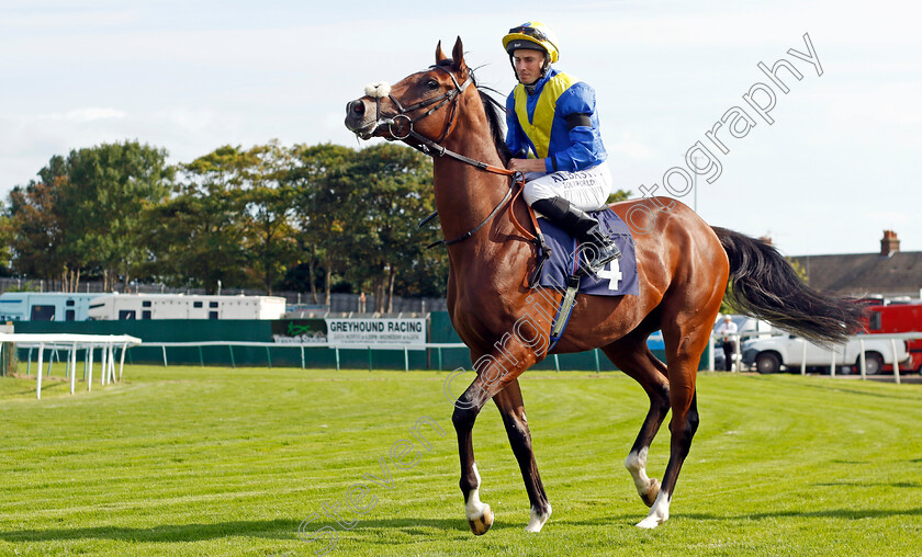 Nader-King-0001 
 NADER KING (Ryan Moore)
Yarmouth 14 Sep 2022 - Pic Steven Cargill / Racingfotos.com