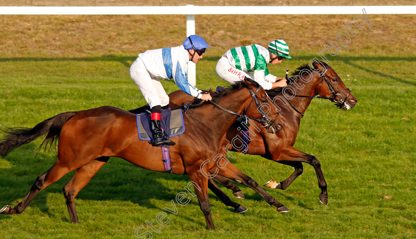 Natural-Path-0007 
 NATURAL PATH (right, Tom Marquand) beats SPIRITED GUEST (left) in The Moulton Nurseries Handicap
Yarmouth 16 Sep 2021 - Pic Steven Cargill / Racingfotos.com